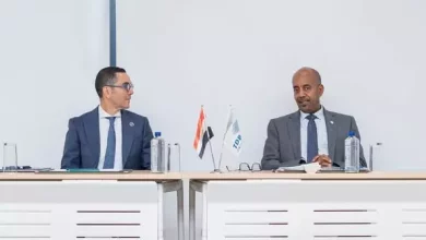 وزير الاستثمار