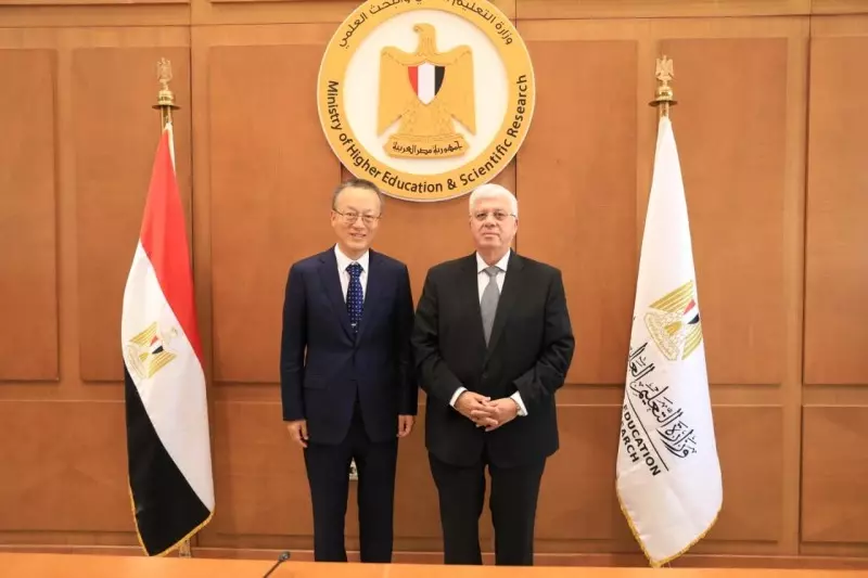التعليم العالي