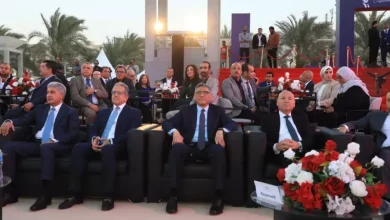 محافظ الجيزة