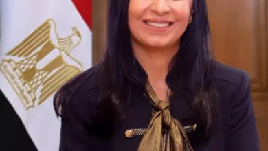 التضامن الاجتماعي