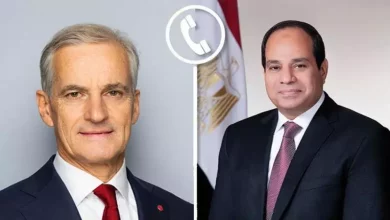 السيسي