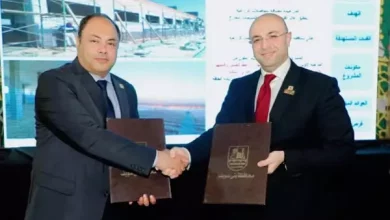 رئيس هيئة تنمية الصعيد