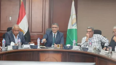 محافظ الجيزة