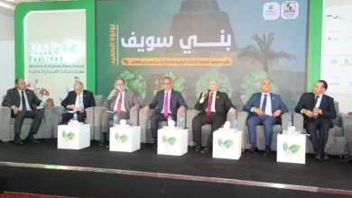 رئيس تنمية الصعيد