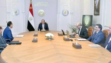 الرئيس السيسي