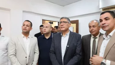 محافظ الجيزة