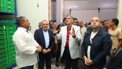 محافظ الجيزة