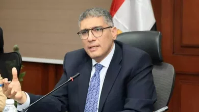 محافظ الجيزة