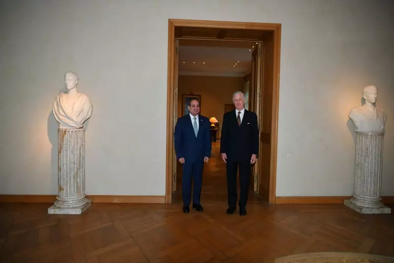 السيسي