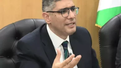 الجيزة