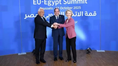 السيسي