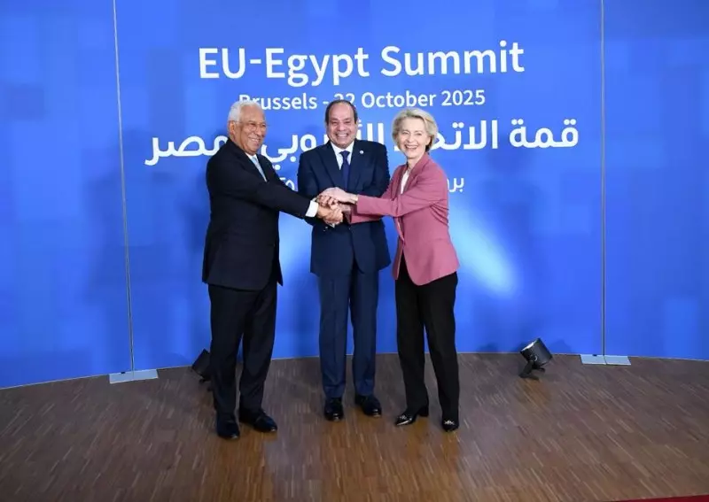 السيسي