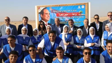 الزراعة