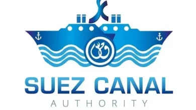 الفريق أسامة ربيع