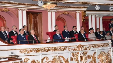 الرئيس السيسي