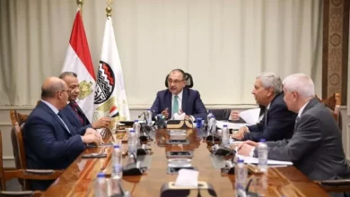 وزير قطاع الأعمال