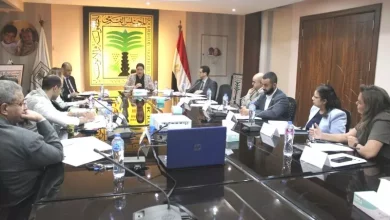 الطفولة والأمومة