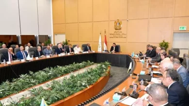 وزير الاسكان