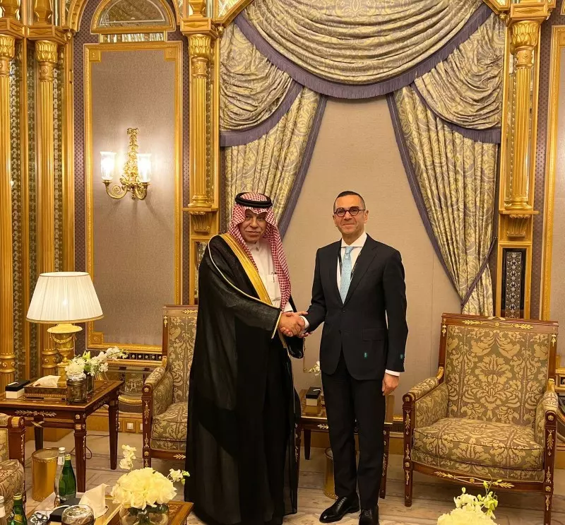 وزير الاستثمار