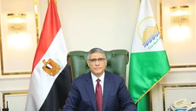 محافظ الجيزة