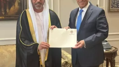 سفير الإمارات الجديد بالقاهرة