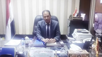 هشام رضوان