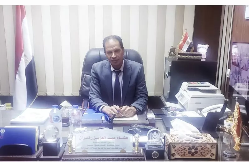 هشام رضوان