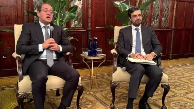 وزير المالية