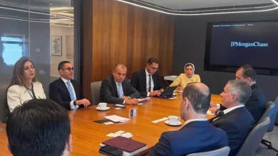 وزير الاستثمار