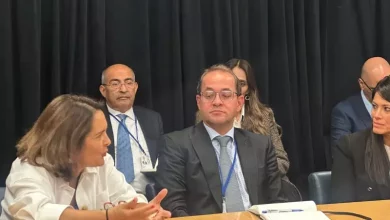 وزير المالية