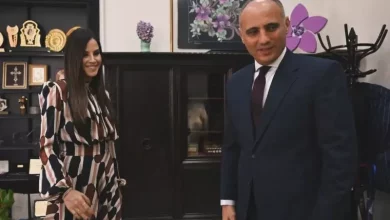 سفير مصر