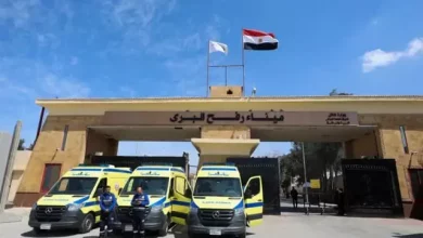 سفارة فلسطين بالقاهرة