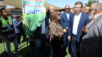 الزراعة