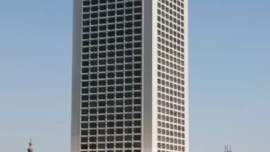 السفراء الجدد