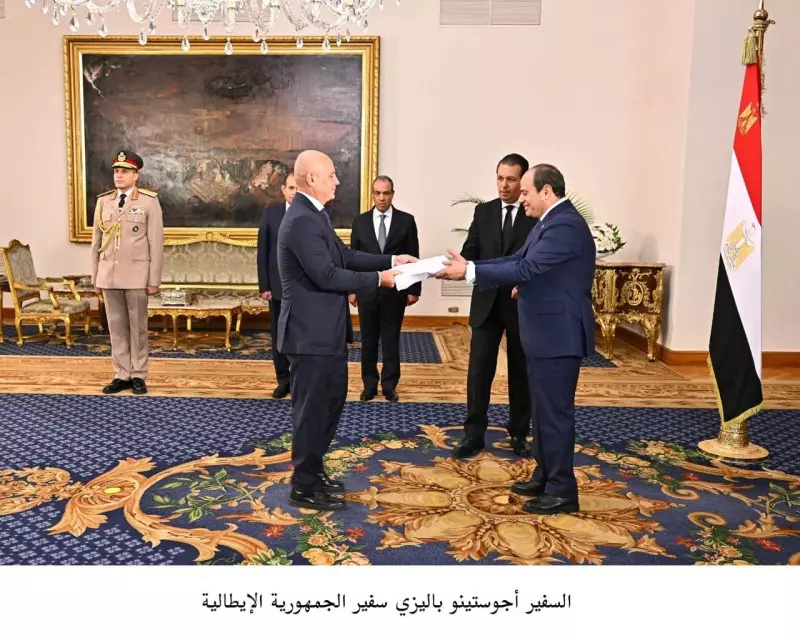 الرئيس السيسى