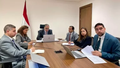 نائب وزير الخارجية