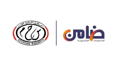 ضامن للمدفوعات الإلكترونية