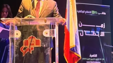 سفير روسيا بالقاهرة