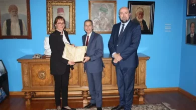 سفير مصر