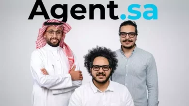 فيلينتس