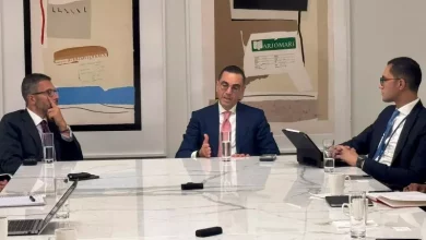 وزير الاستثمار