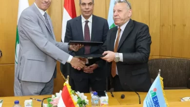 البريد المصري