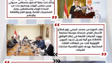 وزارة قطاع الأعمال العام