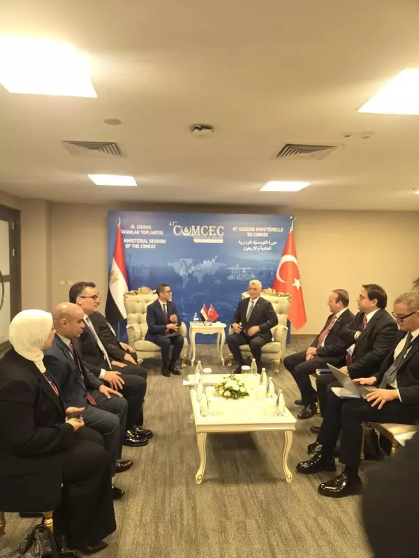 وزير الاستثمار