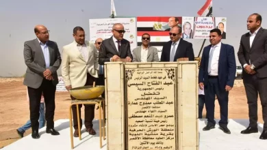 تنمية الصعيد