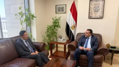 رئيس التمثيل التجاري المصري