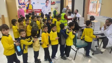 التضامن الاجتماعي