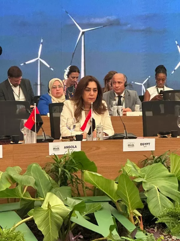 وزيرة التنمية