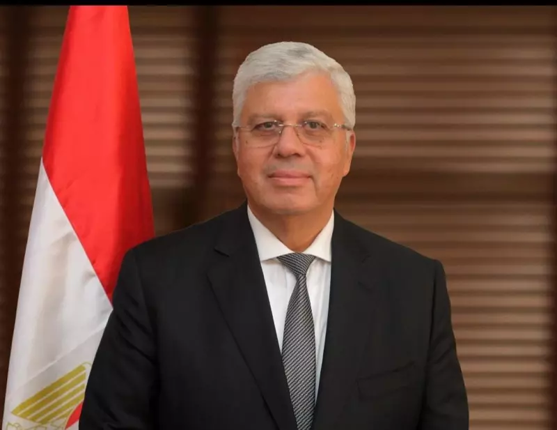 التعليم العالي