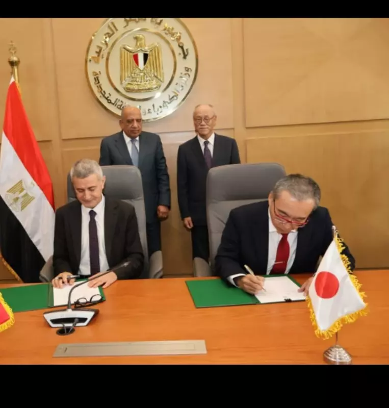 وزير الكهرباء